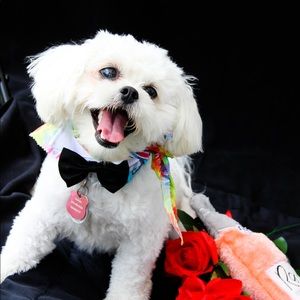 Meet your Posher, Melanie